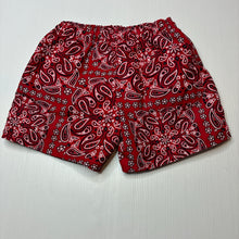 Load image into Gallery viewer, Boys TEZENIS, lined lightweight board shorts, elasticated, EUC, size 4-5,  