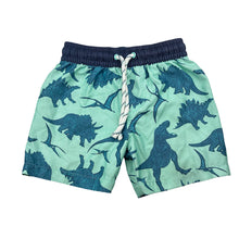 Load image into Gallery viewer, Boys Target, lightweight board shorts, elasticated, dinosaurs, FUC, size 3,  