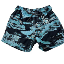 Load image into Gallery viewer, Boys RIP CURL, LAY DAYS lightweight board shorts, elasticated, FUC, size 2,  