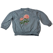 Load image into Gallery viewer, Girls H&amp;M, fleece lined lightweight cotton sweater / jumper, FUC, size 2,  