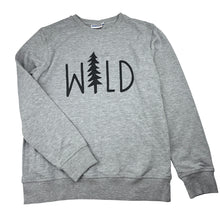 Load image into Gallery viewer, Boys WINKIKI, lightweight sweater / jumper, GUC, size 10-11,  