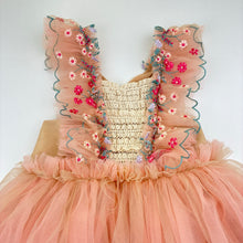 Load image into Gallery viewer, Girls Before &amp; Ever, cotton lined embroidered tulle party dress, GUC, size 6, L: 61cm