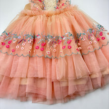 Load image into Gallery viewer, Girls Before &amp; Ever, cotton lined embroidered tulle party dress, GUC, size 6, L: 61cm