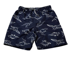 Load image into Gallery viewer, Boys KID, lightweight board shorts, elasticated, dinosaurs, EUC, size 6,  