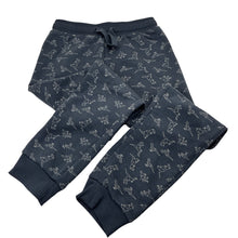 Load image into Gallery viewer, Boys KID, fleece lined track pants, dinosaurs, Inside leg: 52.5cm, EUC, size 7,  
