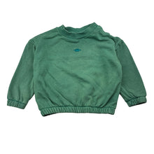 Load image into Gallery viewer, Boys Baby Berry, fleece lined sweater / jumper, dinosaur, FUC, size 1,  