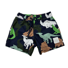 Load image into Gallery viewer, Boys Country Road, cotton blend board shorts, elasticated, dinosaurs, GUC, size 2,  