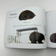 Load image into Gallery viewer, Books Diary of a Wombat, by Jackie French &amp; Bruce Whatley, paperback, EUC,
