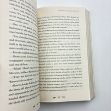 Load image into Gallery viewer, Books GREENWILD, The City Beyond the Sea by Pari Thomson, paperback, EUC,