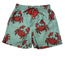 Load image into Gallery viewer, Boys Anko, lightweight board shorts, elasticated, NEW, size 9,  