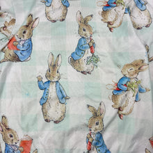Load image into Gallery viewer, Unisex Peter Alexander, Peter Rabbit stretchy long sleeve pyjama top, pilling &amp; small marks, FUC, size 5,  