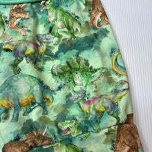 Load image into Gallery viewer, Unisex stretchy, shorts, elasticated, dinosaurs, no labels, W: 23cm across unstretched, EUC, size 3-4,  