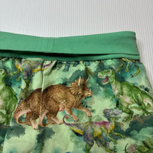 Load image into Gallery viewer, Unisex stretchy, shorts, elasticated, dinosaurs, no labels, W: 23cm across unstretched, EUC, size 3-4,  