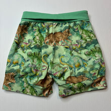Load image into Gallery viewer, Unisex stretchy, shorts, elasticated, dinosaurs, no labels, W: 23cm across unstretched, EUC, size 3-4,  