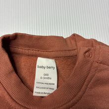 Load image into Gallery viewer, Unisex Baby Berry, fleece lined sweater / jumper, EUC, size 000,  