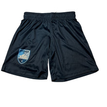 Load image into Gallery viewer, Boys Sydney FC, sports / activewear shorts, elasticated, FUC, size 10,  