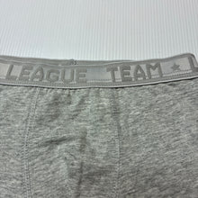 Load image into Gallery viewer, Boys Zara, grey pyjama shorts / boxers, EUC, size 2-3,  