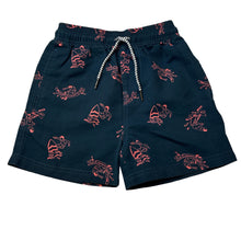 Load image into Gallery viewer, Boys Clothing &amp; Co, navy board shorts, elasticated, FUC, size 7,  