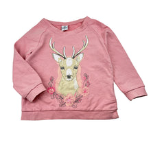 Load image into Gallery viewer, Girls Lily &amp; Dan, Organics lightweight cotton sweater, mark back left sleeve, FUC, size 3,  