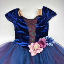 Load image into Gallery viewer, Girls WEISSMAN, velvet, tulle &amp; sequin dance costume, Sz: MC, GUC, size 10-12, L: 70cm