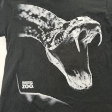 Load image into Gallery viewer, Boys Toronga, black cotton tee / top, snake, EUC, size 6,  