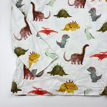 Load image into Gallery viewer, Boys Next, cotton long sleeve tee / top, dinosaurs, GUC, size 5-6,  
