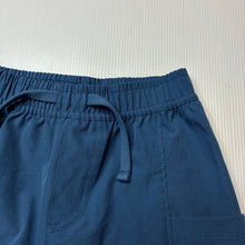 Load image into Gallery viewer, Boys FLAPDOODLES, lightweight shorts / board shorts, elasticated, EUC, size 2,  