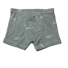 Load image into Gallery viewer, Boys Nature Baby, soft organic cotton pyjama shorts / boxers, EUC, size 5,  