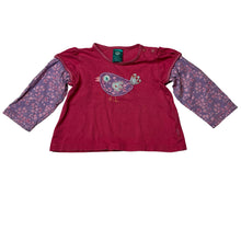 Load image into Gallery viewer, Girls Pumpkin Patch, long sleeve tee / top, applique bird, FUC, size 0,  
