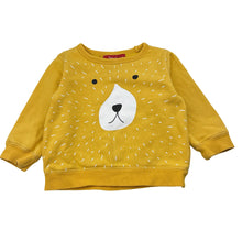 Load image into Gallery viewer, Boys Sprout, fleece lined sweater / jumper, mark on chest, FUC, size 1,  