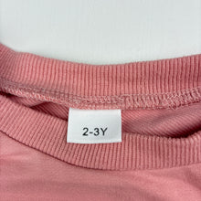 Load image into Gallery viewer, Girls lightweight, sweater / long sleeve top, GUC, size 2-3,  
