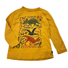 Load image into Gallery viewer, Boys Target, organic cotton long sleeve tee, dinosaurs, FUC, size 4,  