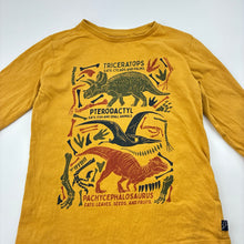Load image into Gallery viewer, Boys Target, organic cotton long sleeve tee, dinosaurs, FUC, size 4,  