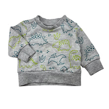 Load image into Gallery viewer, Unisex Lily &amp; Dan, grey cotton blend fleece lined sweater, dinosaur, EUC, size 000,  