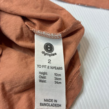 Load image into Gallery viewer, Girls Dymples, rust organic cotton ruffle long sleeve t-shirt, butterfly, EUC, size 2,  