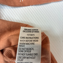 Load image into Gallery viewer, Girls Dymples, rust organic cotton ruffle long sleeve t-shirt, butterfly, EUC, size 2,  