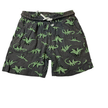 Load image into Gallery viewer, Unisex KID, organic cotton shorts, elasticated, dinosaur, wash fade, FUC, size 5,  