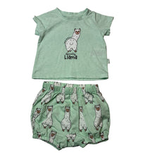 Load image into Gallery viewer, Unisex Peter Alexander, mint cotton blend pyjama set, llama, EUC, size 00,  