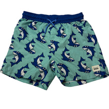 Load image into Gallery viewer, Boys Nike, Dri-Fit sports / activewear shorts, elasticated, EUC, size 14-16,  