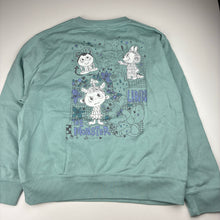 Load image into Gallery viewer, Unisex Uniqlo, aqua cotton sweater, Labubu, EUC, size 11-12,