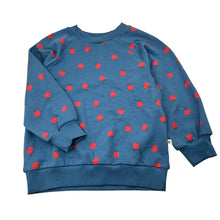 Load image into Gallery viewer, Unisex Nature Baby, fleece lined organic cotton sweater/jumper, EUC, size 4,