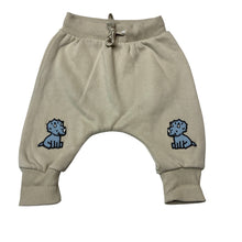 Load image into Gallery viewer, Boys Dymples, fleece lined pants/ bottoms, dinosaurs, elasticated, EUC, size 000,