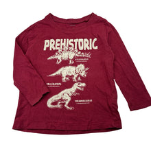 Load image into Gallery viewer, Boys Favourites, cotton long-sleeve tee / top, dinosaurs, FUC, size 4,