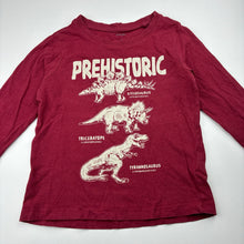 Load image into Gallery viewer, Boys Favourites, cotton long-sleeve tee / top, dinosaurs, FUC, size 4,