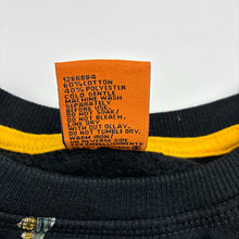 Load image into Gallery viewer, Boys Tilt, fleece lined sweater / jumper, dinosaurs, EUC, size 3,