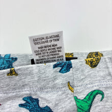 Load image into Gallery viewer, Boys Jurassic World, stretchy leggings / bottoms, light marks, GUC, size 00,