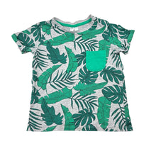 Load image into Gallery viewer, Boys Target, cotton t-shirt, GUC, size 1,