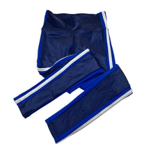 Load image into Gallery viewer, Girls SYLVIA P, dance / gymnastics leggings / tights, EUC, size 12,