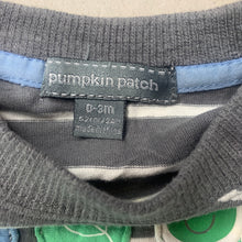Load image into Gallery viewer, Boys Pumpkin Patch, grey stripe cotton t-shirt / top, frog, FUC, size 000,  