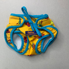 Load image into Gallery viewer, unisex Floaties, colourful swim nappy, EUC, size 00,  